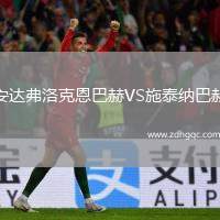 安達(dá)弗洛克恩巴赫VS施泰納巴赫