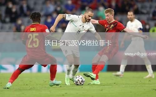 沃日多瓦茨VS格拉菲卡