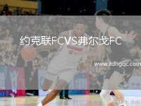 約克聯(lián)FCVS弗爾戈FC