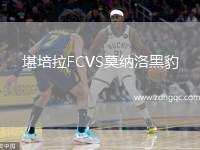 堪培拉FCVS莫納洛黑豹