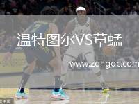 溫特圖爾VS草蜢