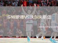 多特蒙德VS沃爾夫斯堡