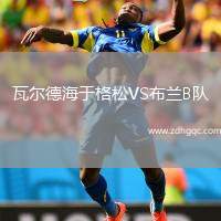 瓦爾德海于格松VS布蘭B隊