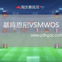 基肯恩尼VSMWOS