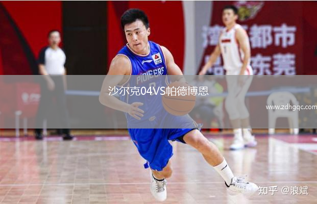 沙爾克04VS帕德博恩
