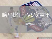 哈馬比TFFVS安雪平