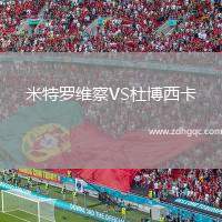 米特羅維察VS杜博西卡