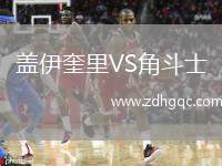 蓋伊奎里VS角斗士