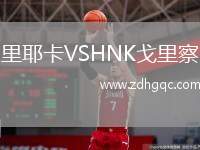 里耶卡VSHNK戈里察