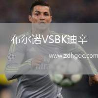 布爾諾VSBK迪辛