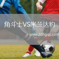 角斗士VS米蘭達豹
