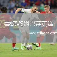 毒蛇VS姆巴萊英雄