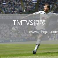 TMTVS福琴