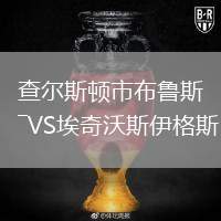 查爾斯頓市布魯斯VS埃奇沃斯伊格斯