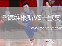 桑德維根斯VS于默奧