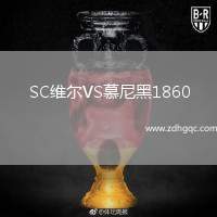 SC維爾VS慕尼黑1860