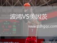 波鴻VS美因茨