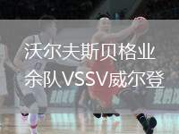 沃爾夫斯貝格業(yè)余隊VSSV威爾登