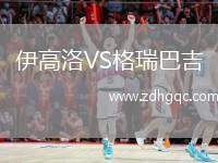 伊高洛VS格瑞巴吉