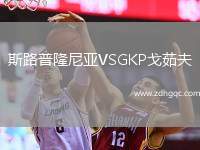 斯路普隆尼亞VSGKP戈茹夫