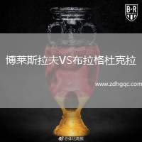 博萊斯拉夫VS布拉格杜克拉