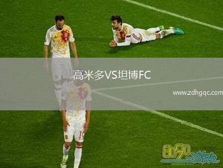 高米多VS坦博FC