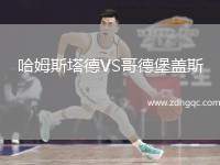 哈姆斯塔德VS哥德堡蓋斯