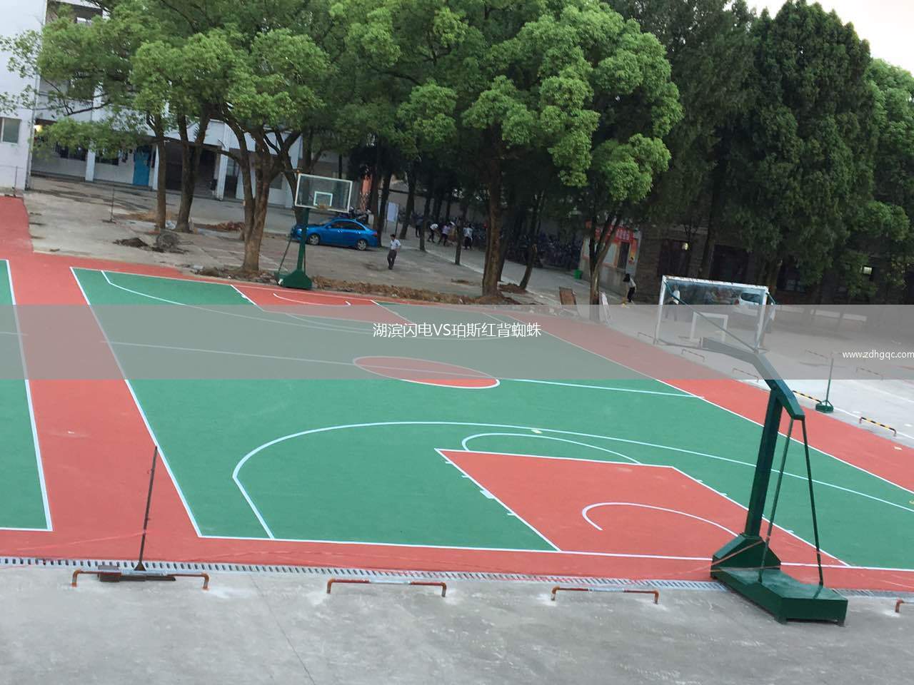 湖濱閃電VS珀斯紅背蜘蛛
