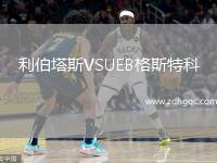 利伯塔斯VSUEB格斯特科