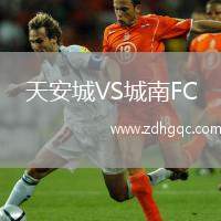 天安城VS城南FC