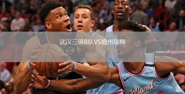 武漢三鎮(zhèn)B隊VS贛州瑞獅