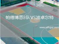 帕德博恩B隊(duì)VS波卓爾特