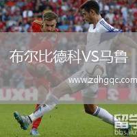 布爾比德科VS馬魯