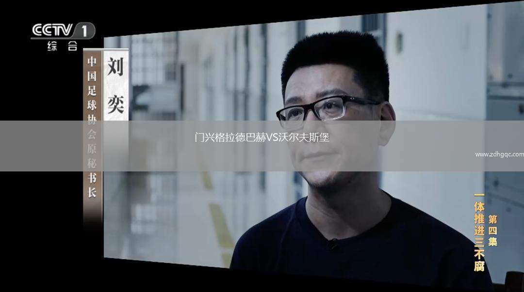 門興格拉德巴赫VS沃爾夫斯堡