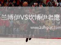 蘭博伊VS坎博伊老鷹