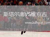斯塔爾南VS維京古