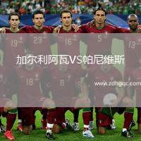 加爾利阿瓦VS帕尼維斯