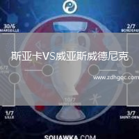 斯亞卡VS威亞斯威德尼克