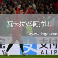 瓦卡拉VS阿拉比
