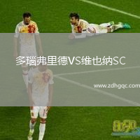 多瑙弗里德VS維也納SC