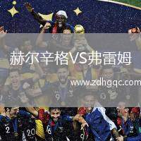 赫爾辛格VS弗雷姆