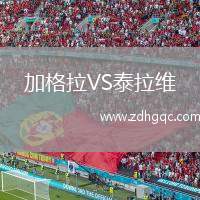 加格拉VS泰拉維