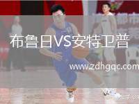 布魯日VS安特衛(wèi)普