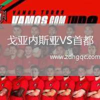 戈亞內(nèi)斯亞VS首都