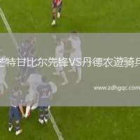 芒特甘比爾先鋒VS丹德農(nóng)遊騎兵