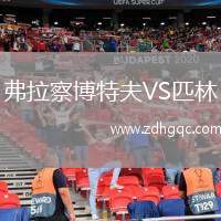 弗拉察博特夫VS匹林