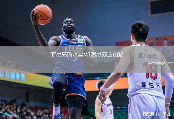 菲尼克斯水星VS明尼蘇達(dá)山貓