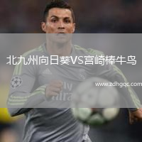 北九州向日葵VS宮崎棒牛鳥