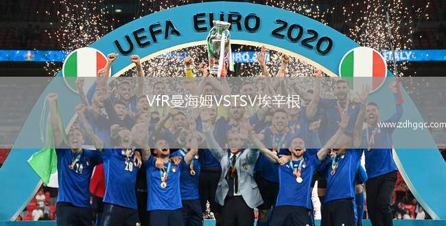 VfR曼海姆VSTSV埃辛根