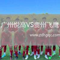 廣州悅高VS貴州飛鷹